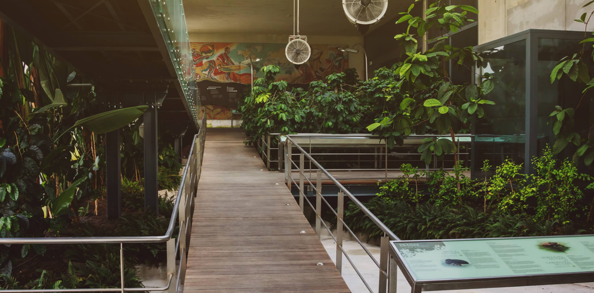 Centro de Ciência do Café