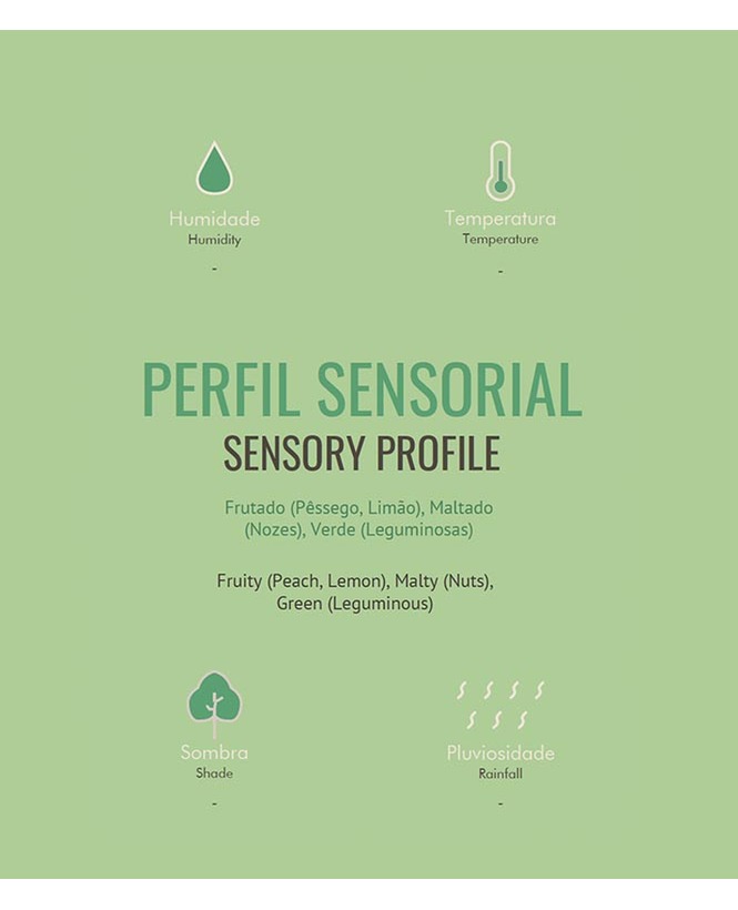 Mexico Finca Irlanda