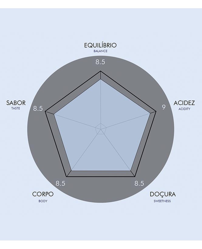 Nicarágua Buenos Aires