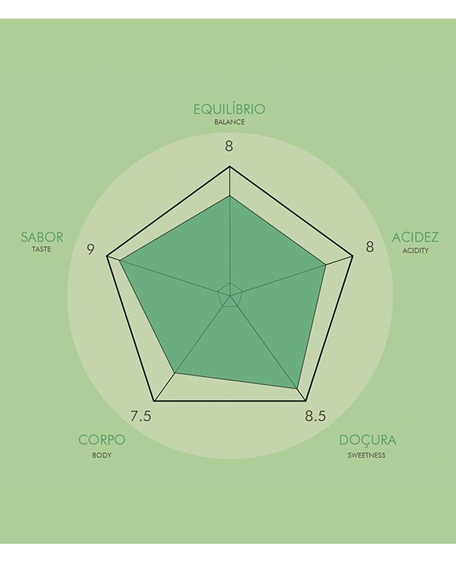 Mexico Finca Irlanda