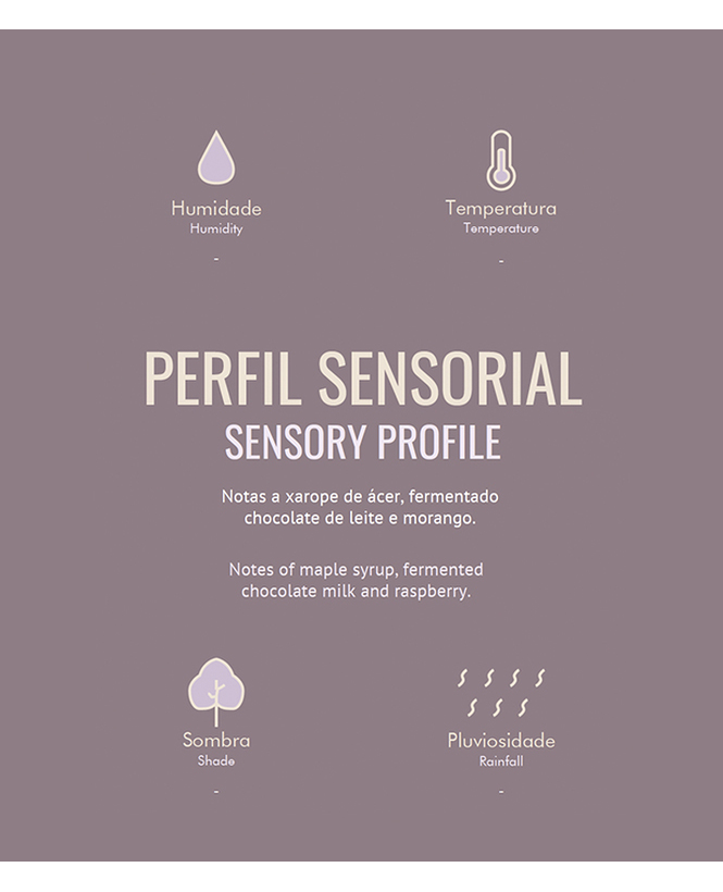 Honduras Ceiba La Paz