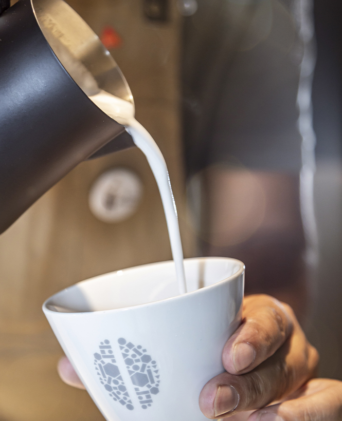 Black tulip milk jug 35 CL