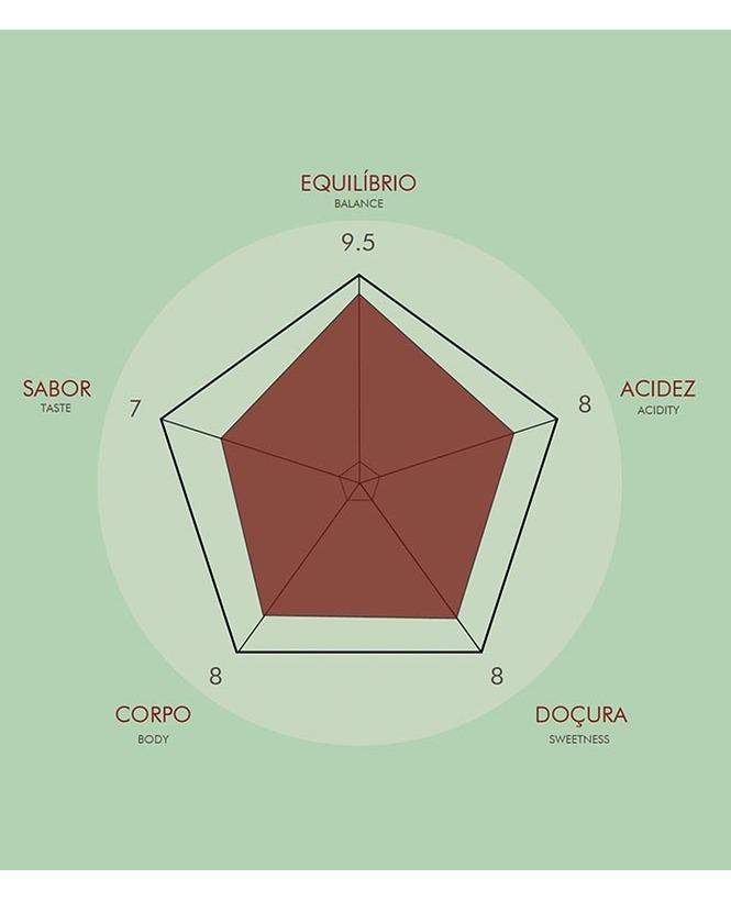 Colombia Chévere decaffeinated