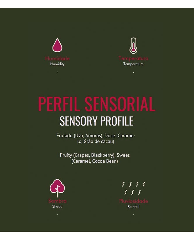 Quénia Thika Chania Estate