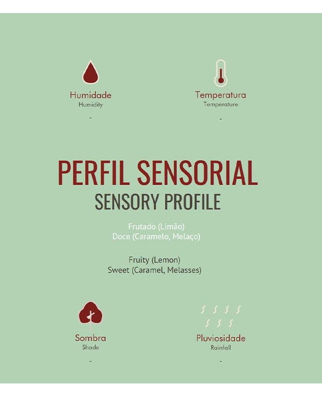 Colombia Chévere decaffeinated