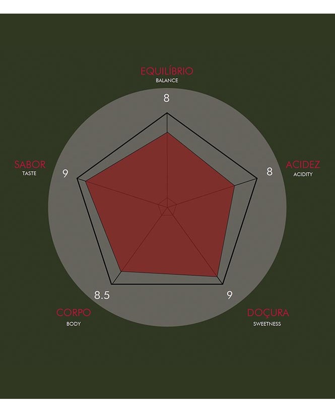 Quénia Thika Chania Estate