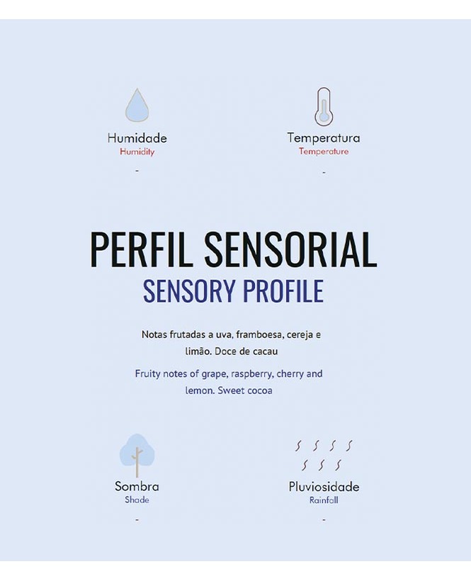 Nicarágua Buenos Aires