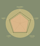 El Salvador Santa Elena 250 gr moido filtro